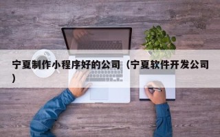 廊坊宁夏制作小程序好的公司（宁夏软件开发公司）